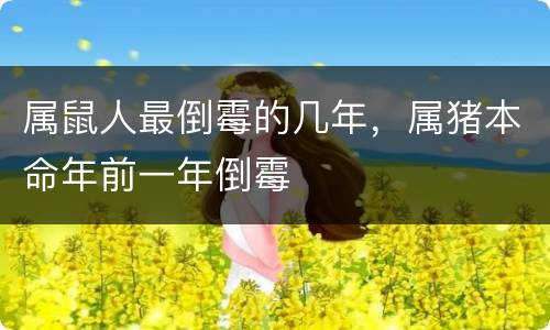 属鼠人最倒霉的几年，属猪本命年前一年倒霉
