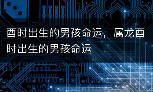 酉时出生的男孩命运，属龙酉时出生的男孩命运