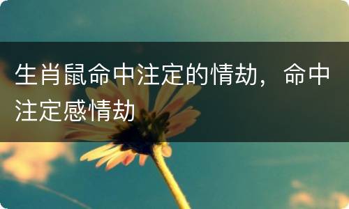 生肖鼠命中注定的情劫，命中注定感情劫
