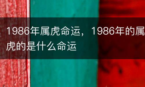 1986年属虎命运，1986年的属虎的是什么命运