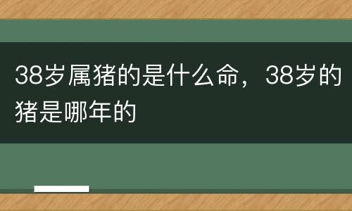 38岁属猪的是什么命，38岁的猪是哪年的