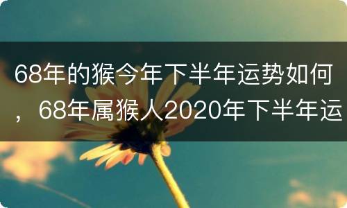 68年的猴今年下半年运势如何，68年属猴人2020年下半年运势