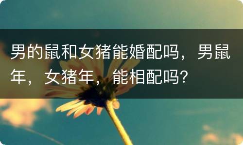 男的鼠和女猪能婚配吗，男鼠年，女猪年，能相配吗？