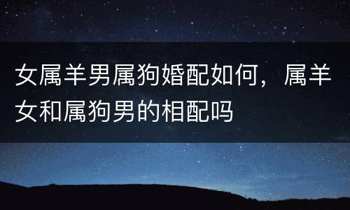 女属羊男属狗婚配如何，属羊女和属狗男的相配吗