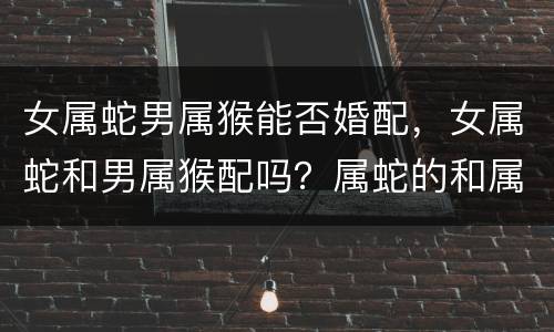 女属蛇男属猴能否婚配，女属蛇和男属猴配吗？属蛇的和属猴的配吗？