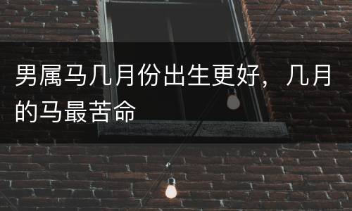 男属马几月份出生更好，几月的马最苦命