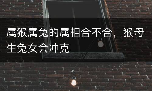 属猴属兔的属相合不合，猴母生兔女会冲克