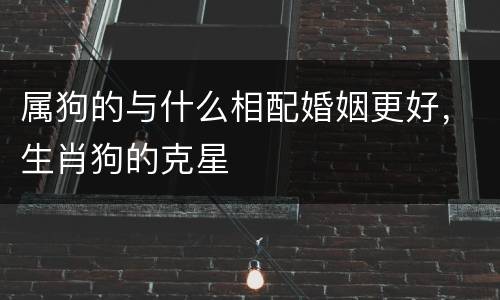属狗的与什么相配婚姻更好，生肖狗的克星