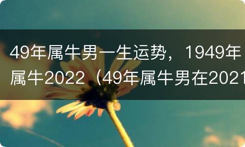 49年属牛男一生运势，1949年属牛2022（49年属牛男在2021年运势?）