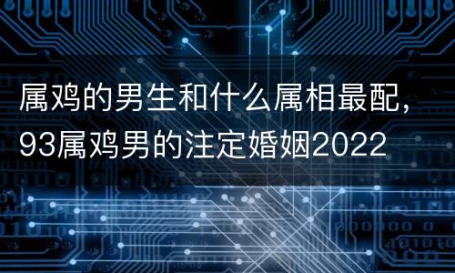 属鸡的男生和什么属相最配，93属鸡男的注定婚姻2022