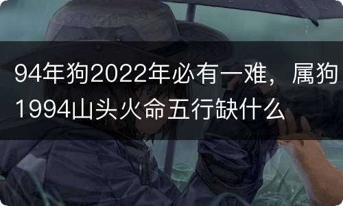 94年狗2022年必有一难，属狗1994山头火命五行缺什么