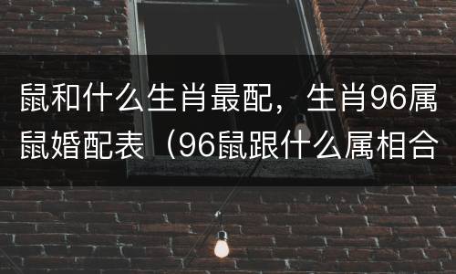 鼠和什么生肖最配，生肖96属鼠婚配表（96鼠跟什么属相合）