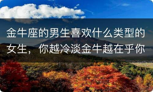 金牛座的男生喜欢什么类型的女生，你越冷淡金牛越在乎你