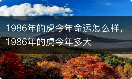 1986年的虎今年命运怎么样，1986年的虎今年多大