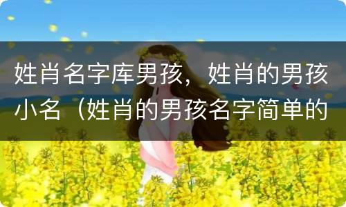 姓肖名字库男孩，姓肖的男孩小名（姓肖的男孩名字简单的）