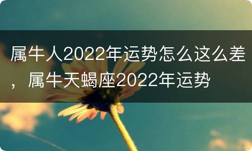属牛人2022年运势怎么这么差，属牛天蝎座2022年运势