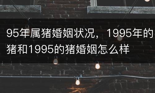 95年属猪婚姻状况，1995年的猪和1995的猪婚姻怎么样