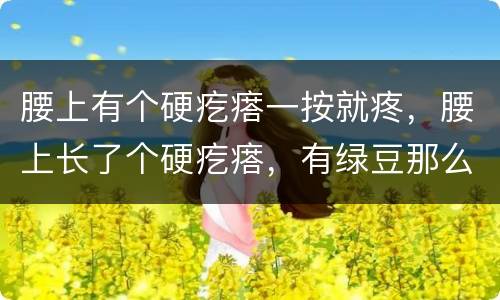 腰上有个硬疙瘩一按就疼，腰上长了个硬疙瘩，有绿豆那么大，不痛不痒，那需