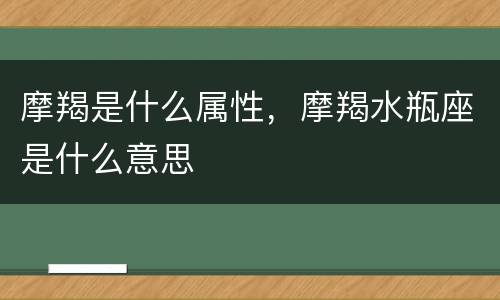 摩羯是什么属性，摩羯水瓶座是什么意思