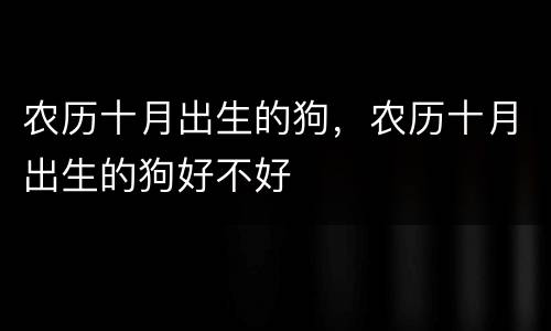 农历十月出生的狗，农历十月出生的狗好不好