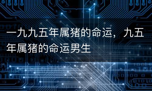 一九九五年属猪的命运，九五年属猪的命运男生