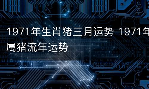 1971年生肖猪三月运势 1971年属猪流年运势