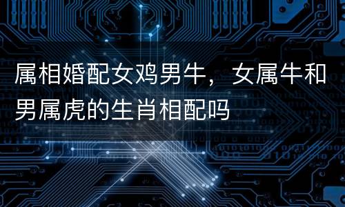 属相婚配女鸡男牛，女属牛和男属虎的生肖相配吗