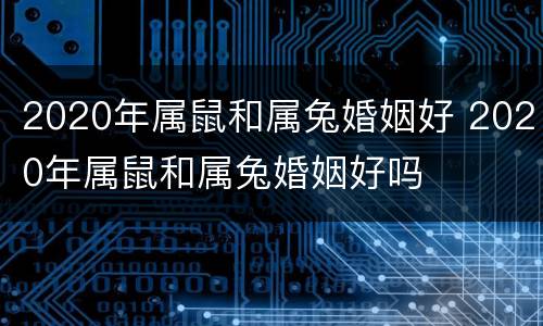 2020年属鼠和属兔婚姻好 2020年属鼠和属兔婚姻好吗