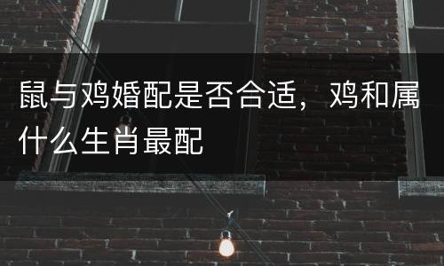 鼠与鸡婚配是否合适，鸡和属什么生肖最配