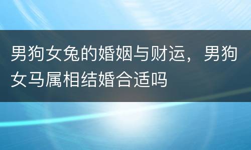 男狗女兔的婚姻与财运，男狗女马属相结婚合适吗