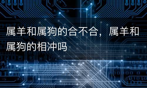 属羊和属狗的合不合，属羊和属狗的相冲吗