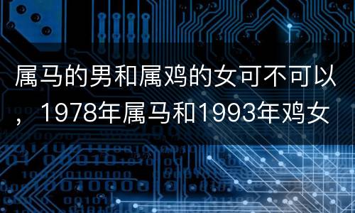 属马的男和属鸡的女可不可以，1978年属马和1993年鸡女