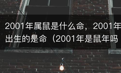 2001年属鼠是什么命，2001年出生的是命（2001年是鼠年吗）