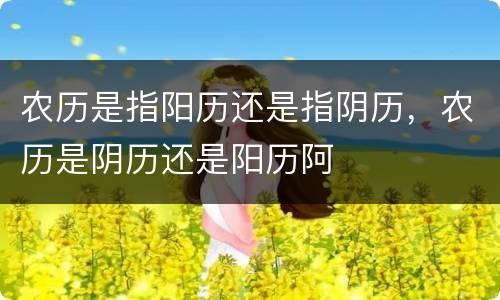 农历是指阳历还是指阴历，农历是阴历还是阳历阿
