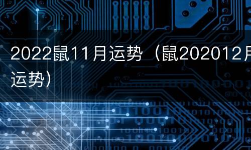 2022鼠11月运势（鼠202012月运势）