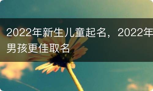 2022年新生儿童起名，2022年男孩更佳取名