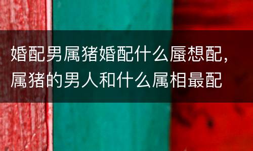 婚配男属猪婚配什么蜃想配，属猪的男人和什么属相最配