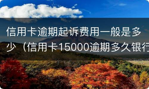 信用卡逾期起诉费用一般是多少（信用卡15000逾期多久银行起诉）