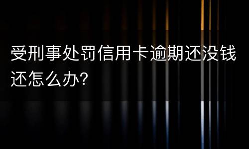 受刑事处罚信用卡逾期还没钱还怎么办？