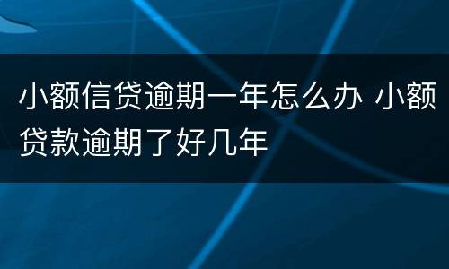 小额信贷逾期一年怎么办 小额贷款逾期了好几年