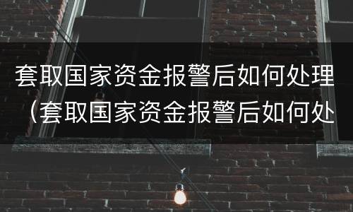 套取国家资金报警后如何处理（套取国家资金报警后如何处理案件）