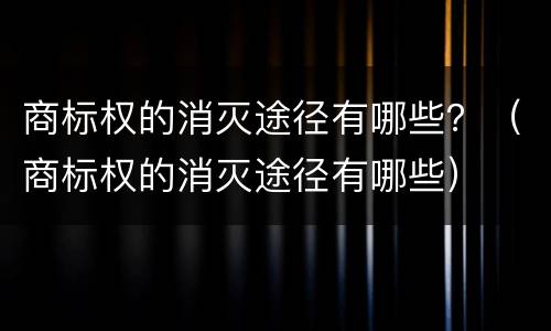 商标权的消灭途径有哪些？（商标权的消灭途径有哪些）