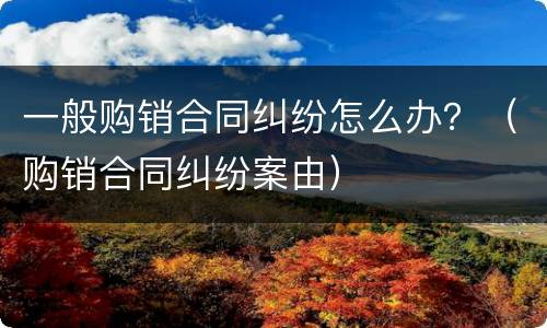 一般购销合同纠纷怎么办？（购销合同纠纷案由）