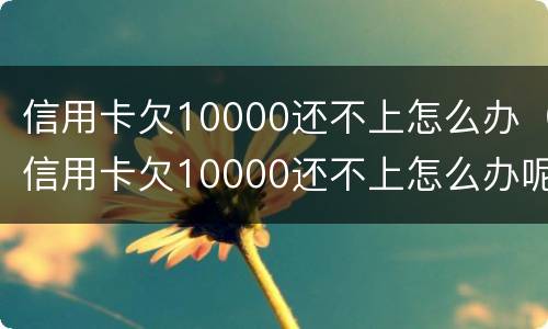 信用卡欠10000还不上怎么办（信用卡欠10000还不上怎么办呢）