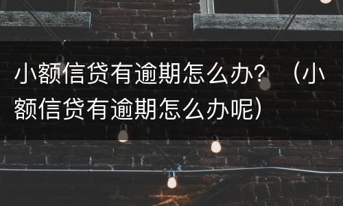 小额信贷有逾期怎么办？（小额信贷有逾期怎么办呢）