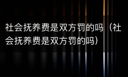 社会抚养费是双方罚的吗（社会抚养费是双方罚的吗）