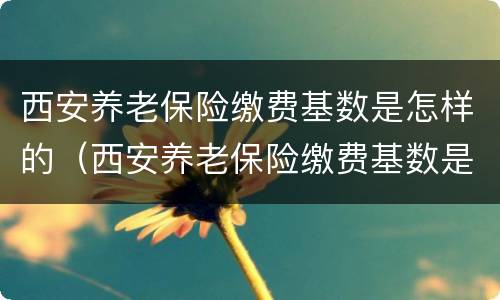 西安养老保险缴费基数是怎样的（西安养老保险缴费基数是怎样的呀）