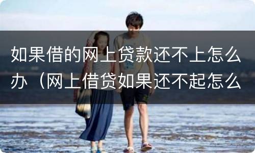 如果借的网上贷款还不上怎么办（网上借贷如果还不起怎么办）
