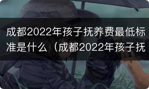 成都2022年孩子抚养费最低标准是什么（成都2022年孩子抚养费最低标准是什么时候发放）