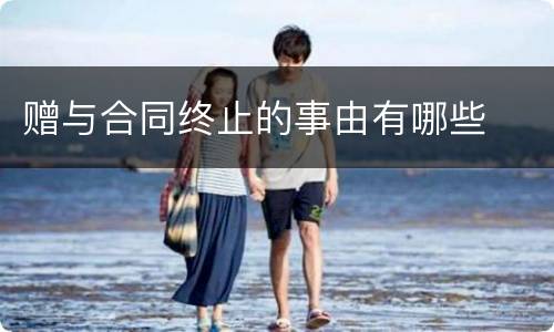 赠与合同终止的事由有哪些